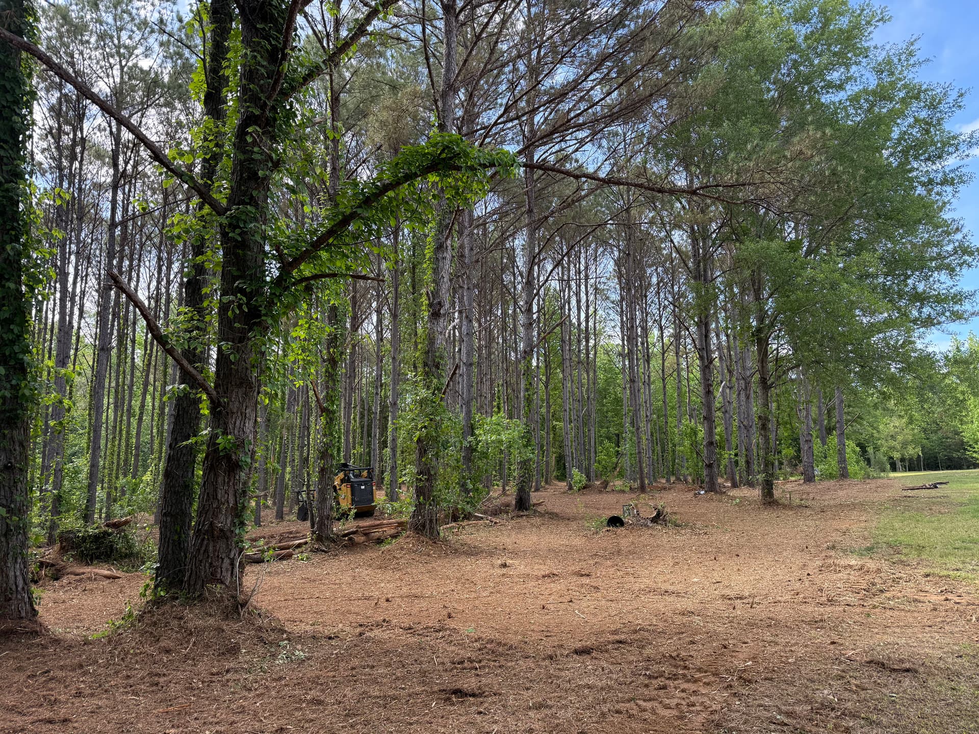 Gallery photos for Forestry Mulching Clears Overgrown Property in Smithville: Image #5