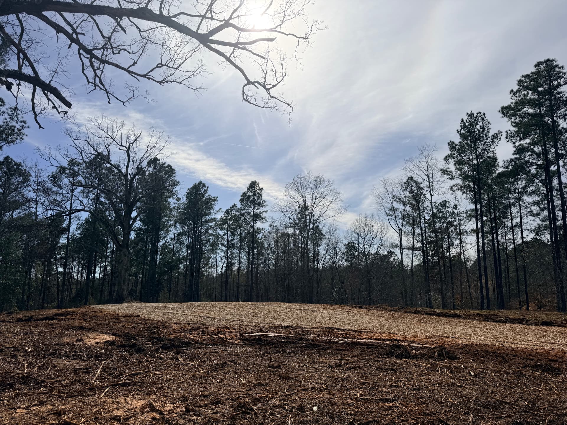 Gallery photos for From Dense Forest to Open Land with Legacy Landworks: Image #3