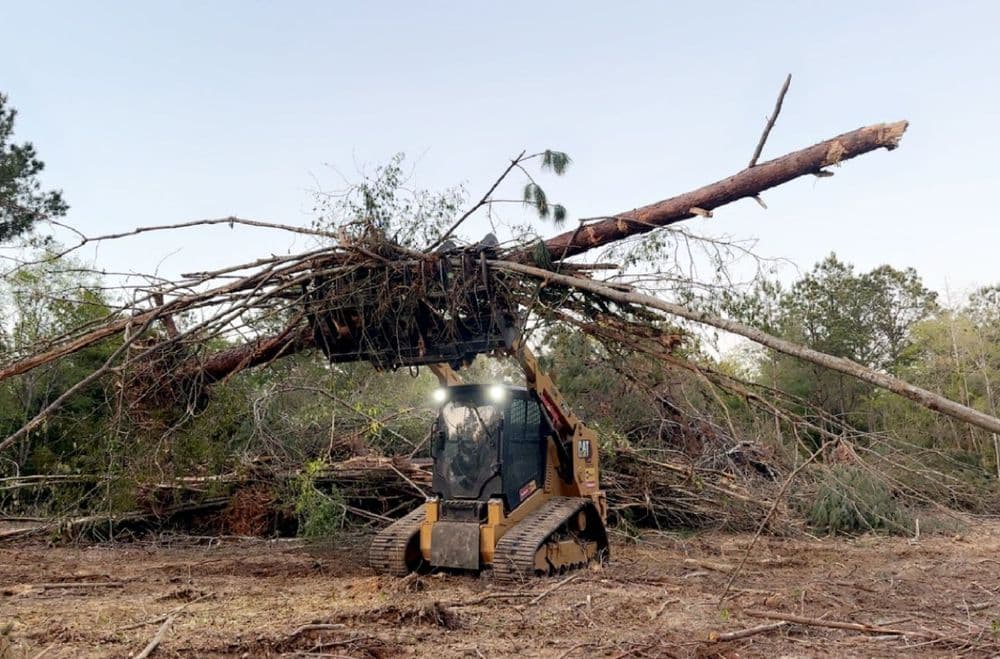 Skid steer loader removing fallen trees and debris in a forested area.