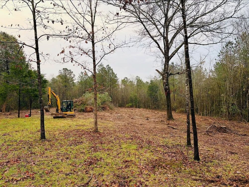 Excavator clearing land among bare trees and shrubs in a forested area.