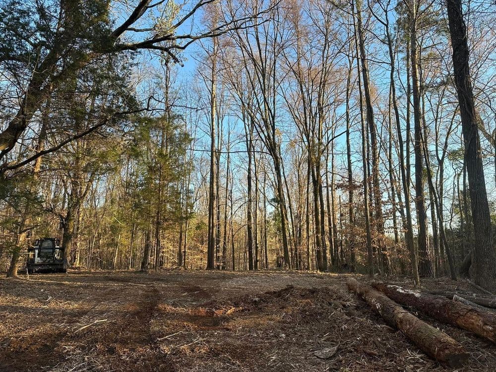 Cleared forest area with logging equipment and cut trees under a clear blue sky.