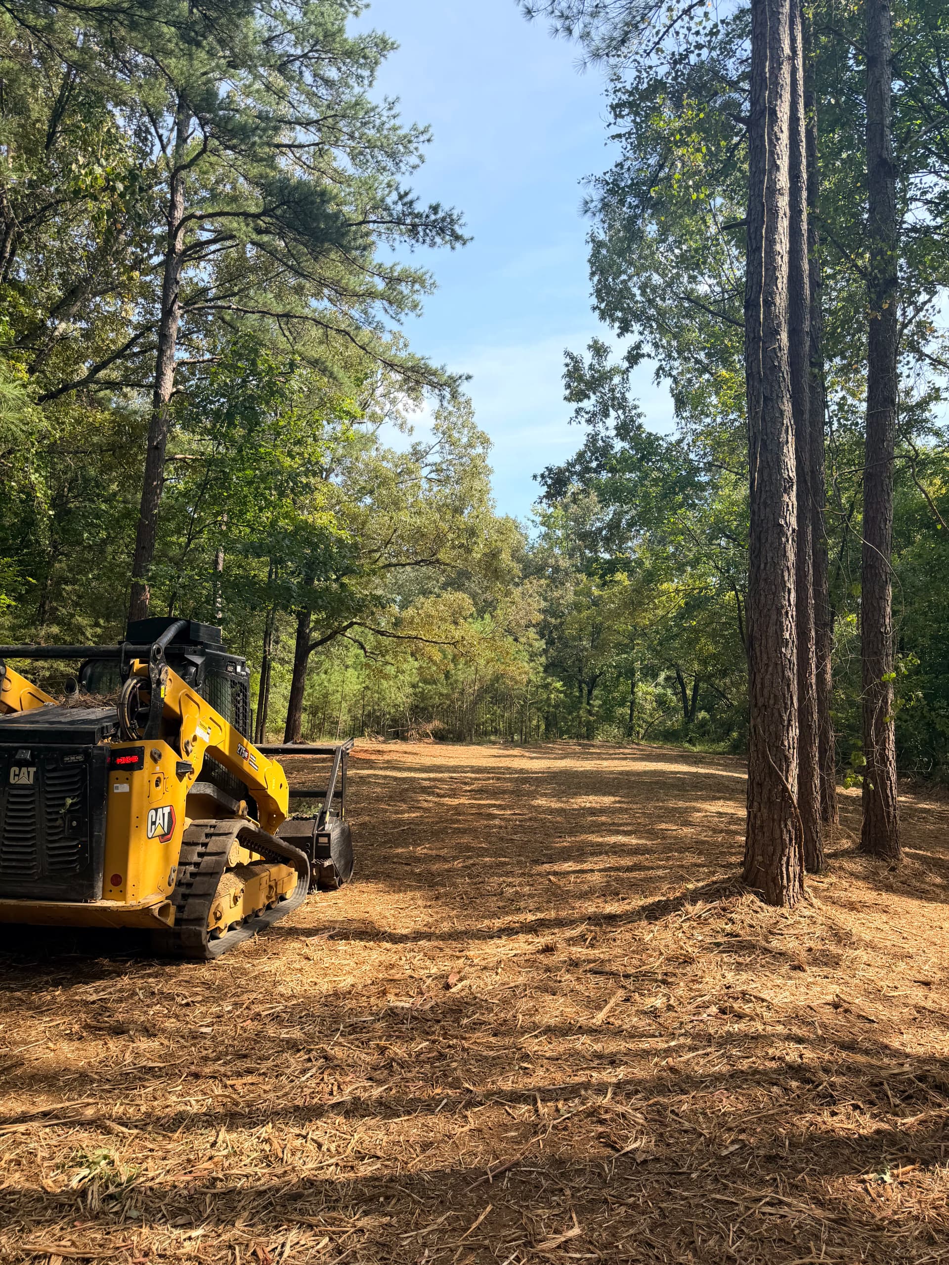 Gallery photos for Forestry Mulching That Left This Property Clean and Usable: Image #5