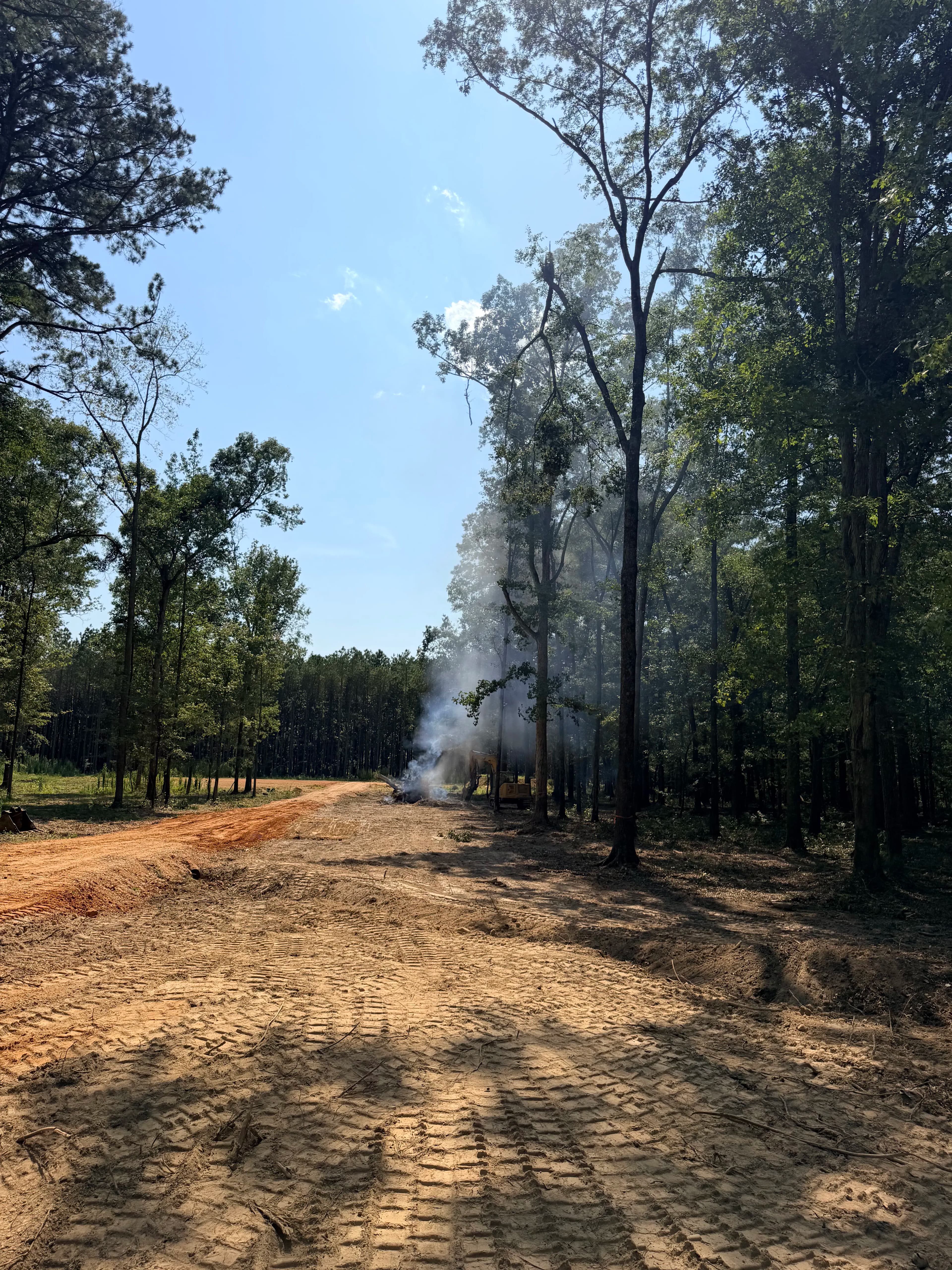 Project Power Line Clearing Done Right - Access Open, Ground Clean image