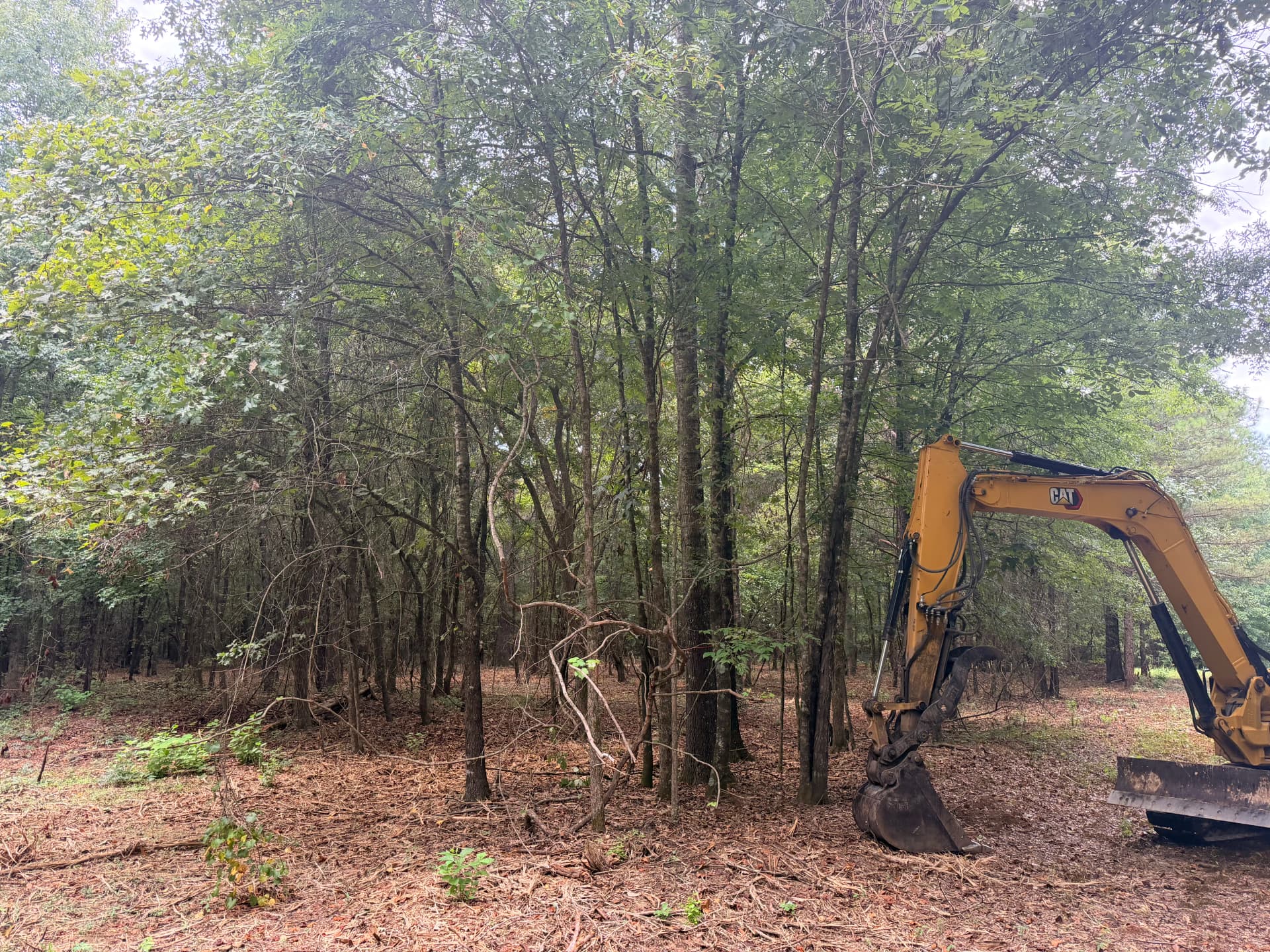 1 Acre of Dense Brush Cleared for a Food Plot