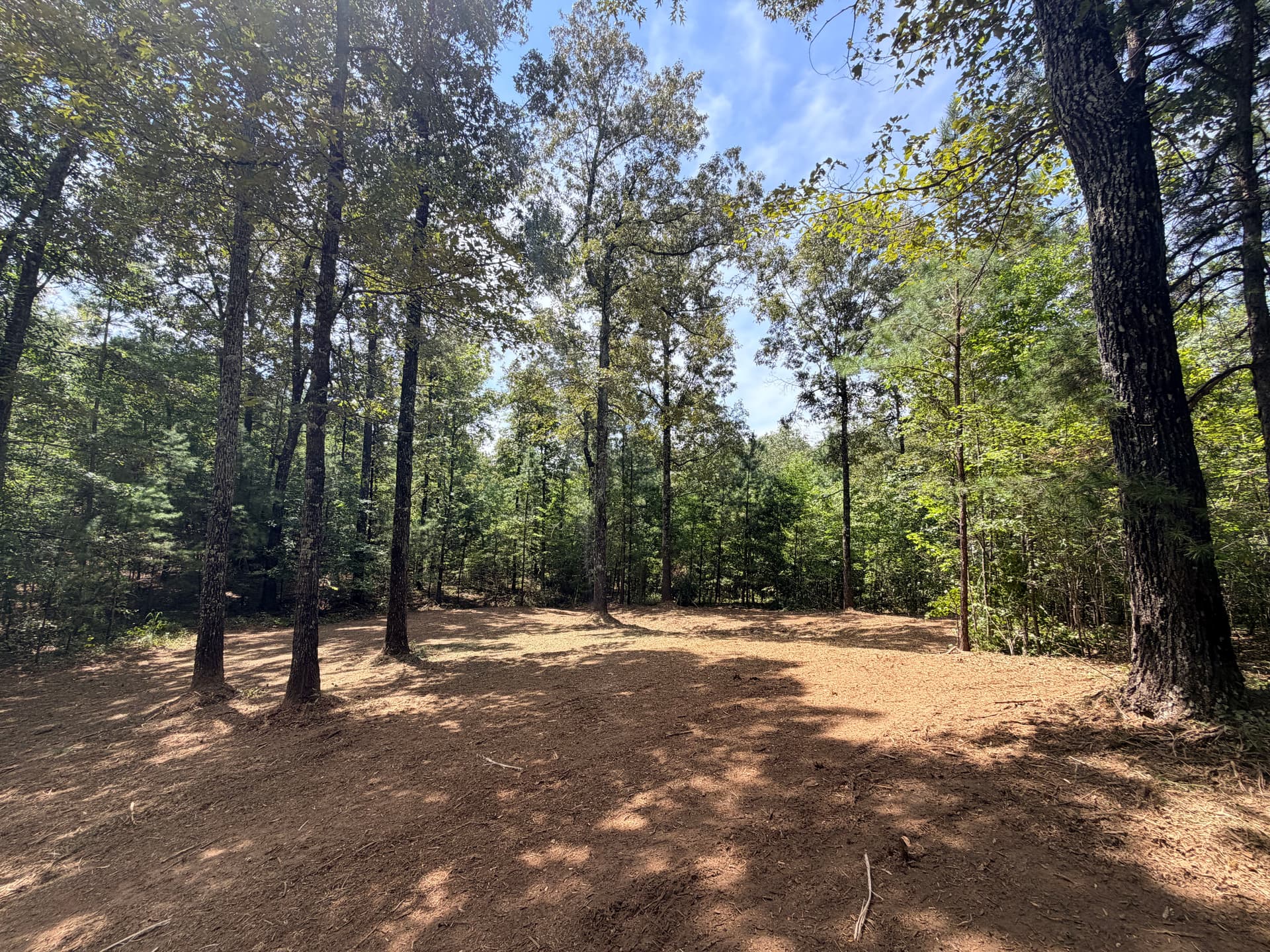 Gallery photos for Forestry Mulching for Trails and Food Plots That Actually Work: Image #2