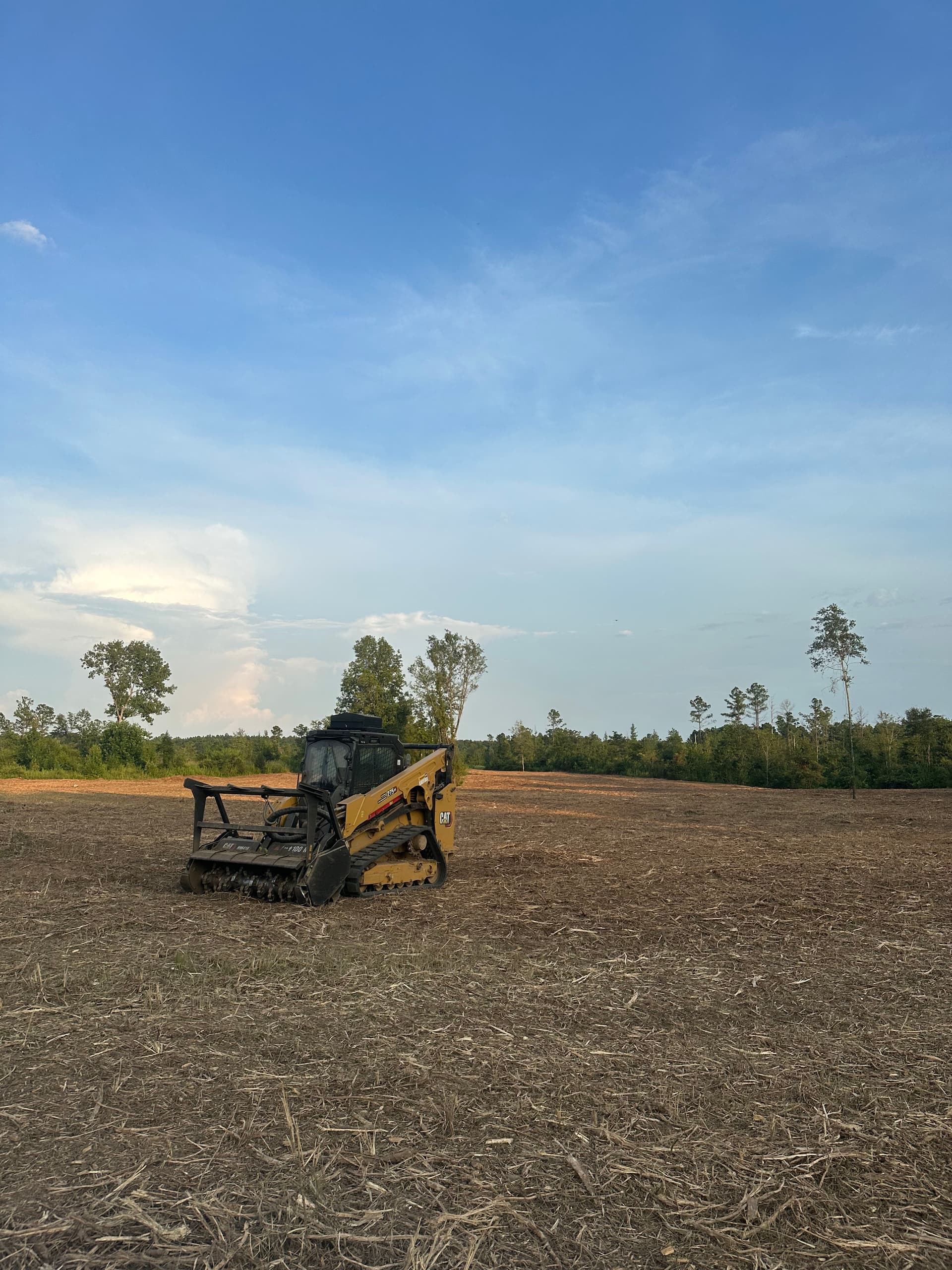 Gallery photos for Forestry Mulching Turns Dense Overgrowth Into Open, Usable Land: Image #3