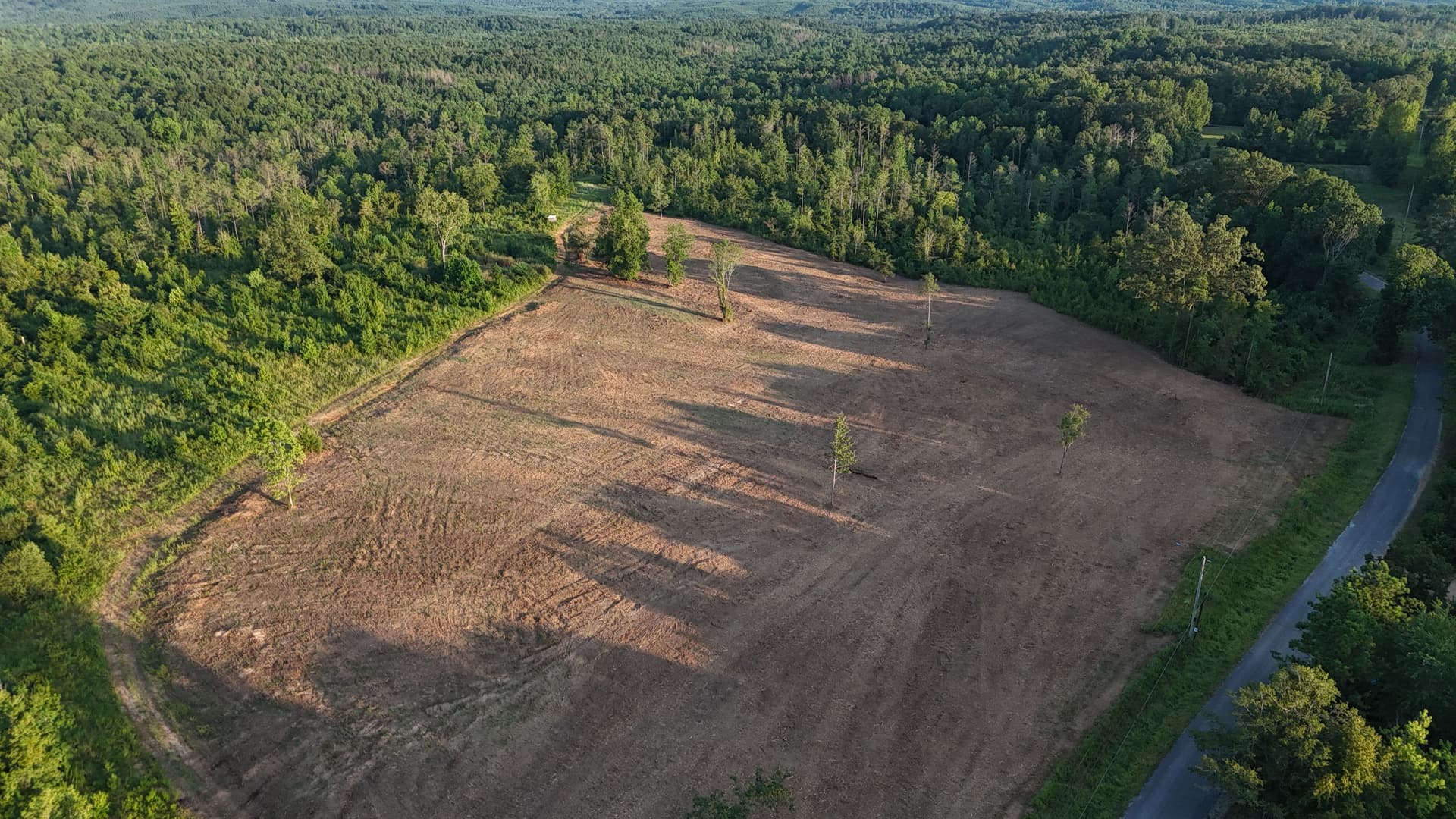 Gallery photos for Forestry Mulching Turns Dense Overgrowth Into Open, Usable Land: Image #4