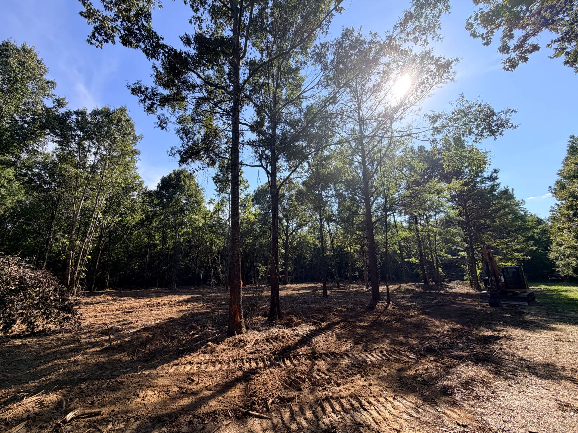 Gallery photos for 1 Acre of Dense Brush Cleared for a Food Plot: Image #2