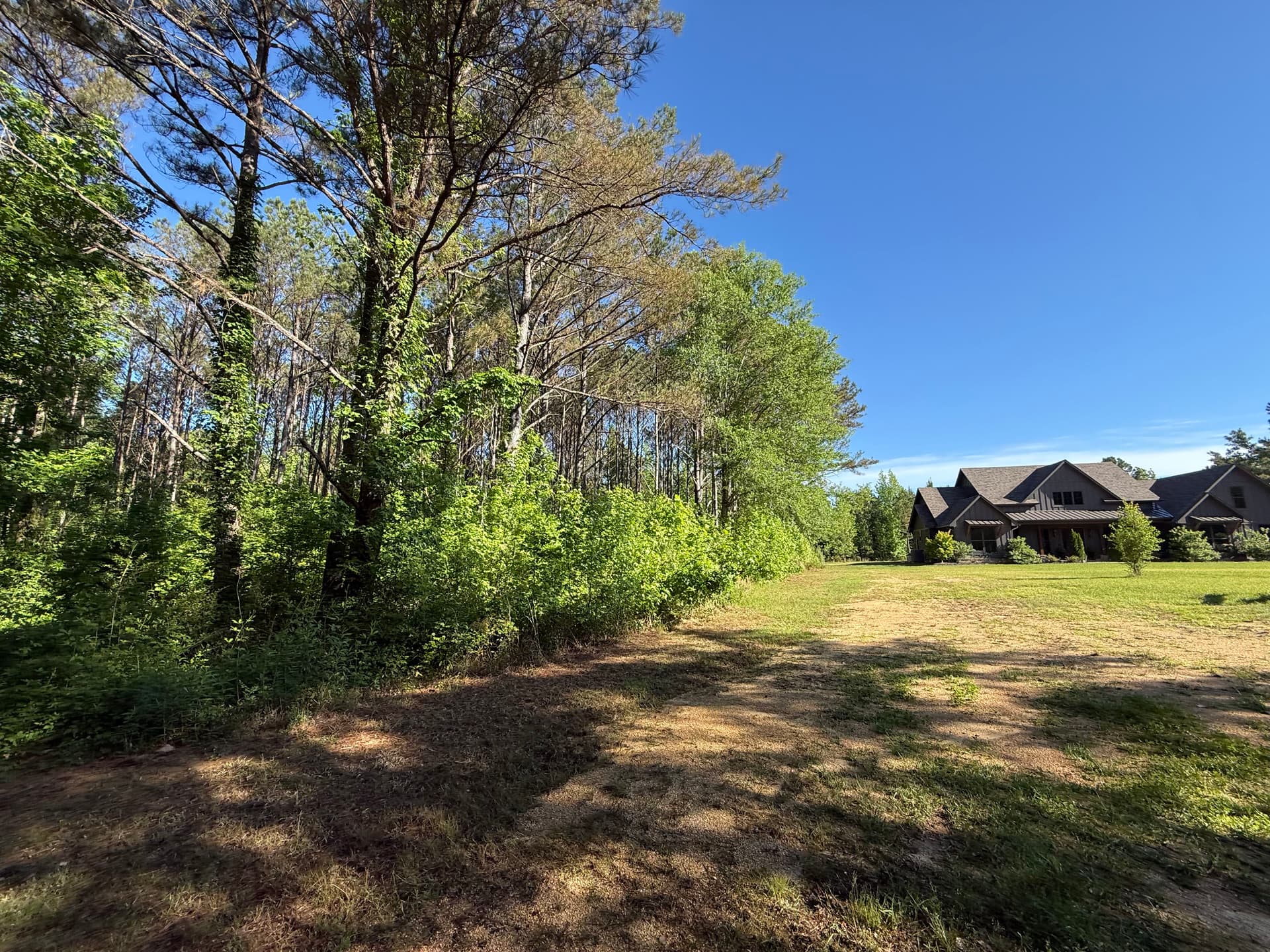 Gallery photos for Forestry Mulching Clears Overgrown Property in Smithville: Image #3