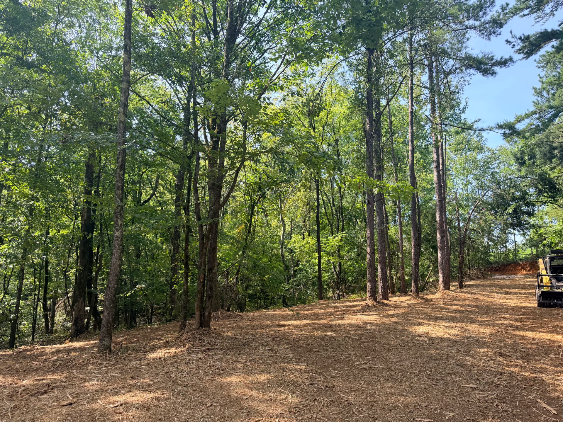 Gallery photos for Forestry Mulching That Left This Property Clean and Usable: Image #3