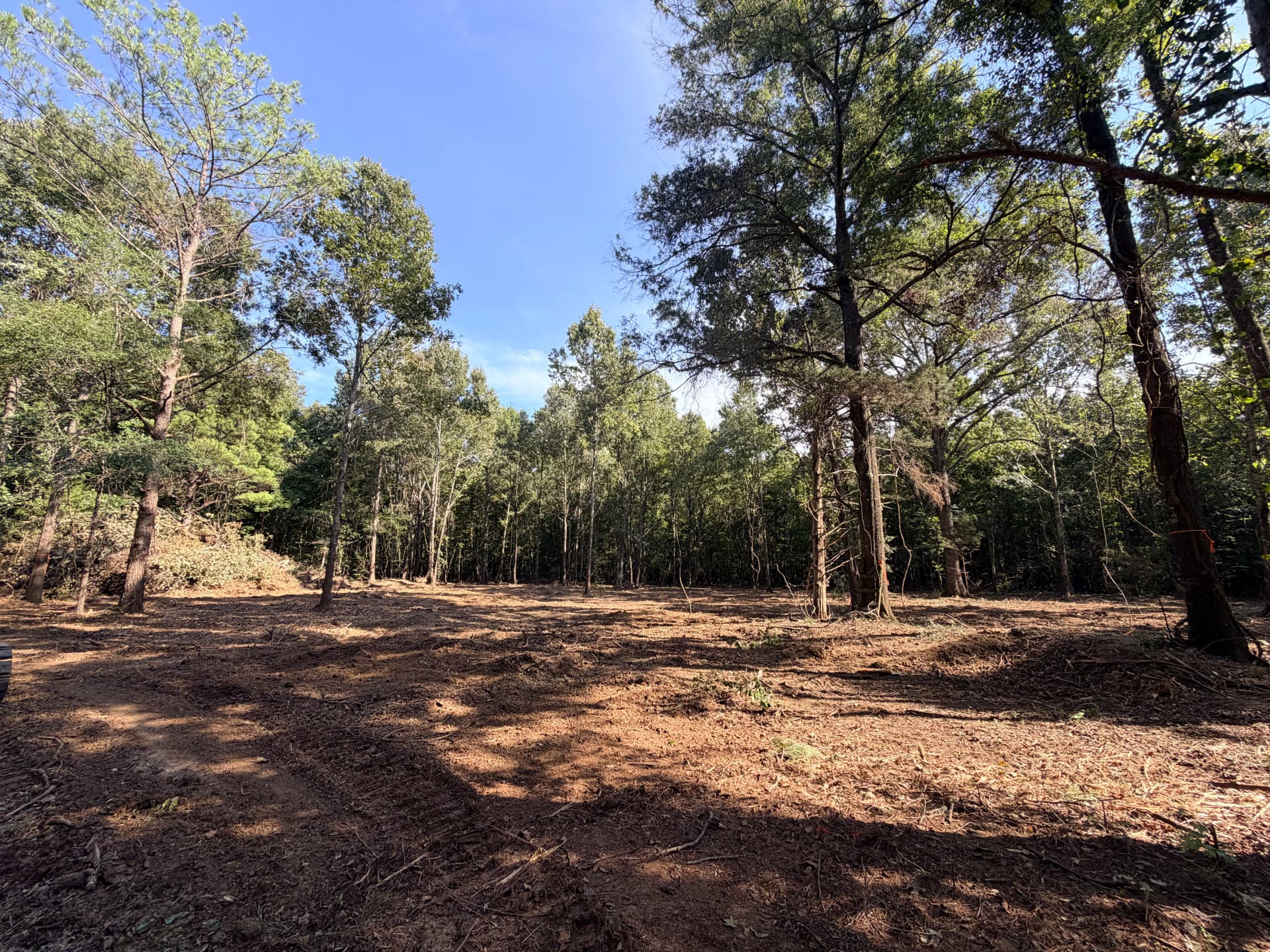Gallery photos for 1 Acre of Dense Brush Cleared for a Food Plot: Image #3