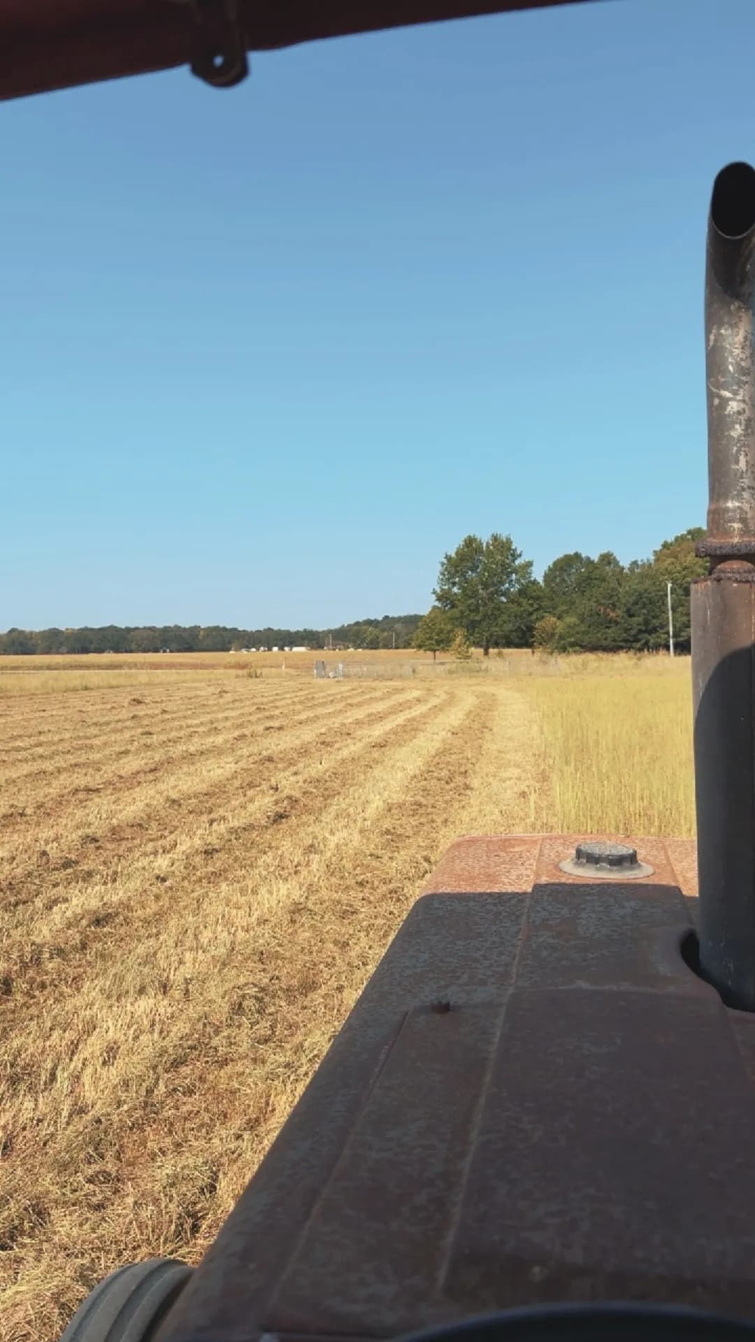 Gallery photos for Forestry Mulching in Millport AL and Bush Hogging in Smithville MS: Image #1