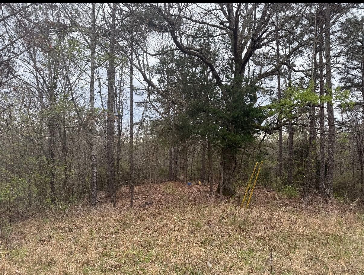 Land Clearing and Driveway Base Installation