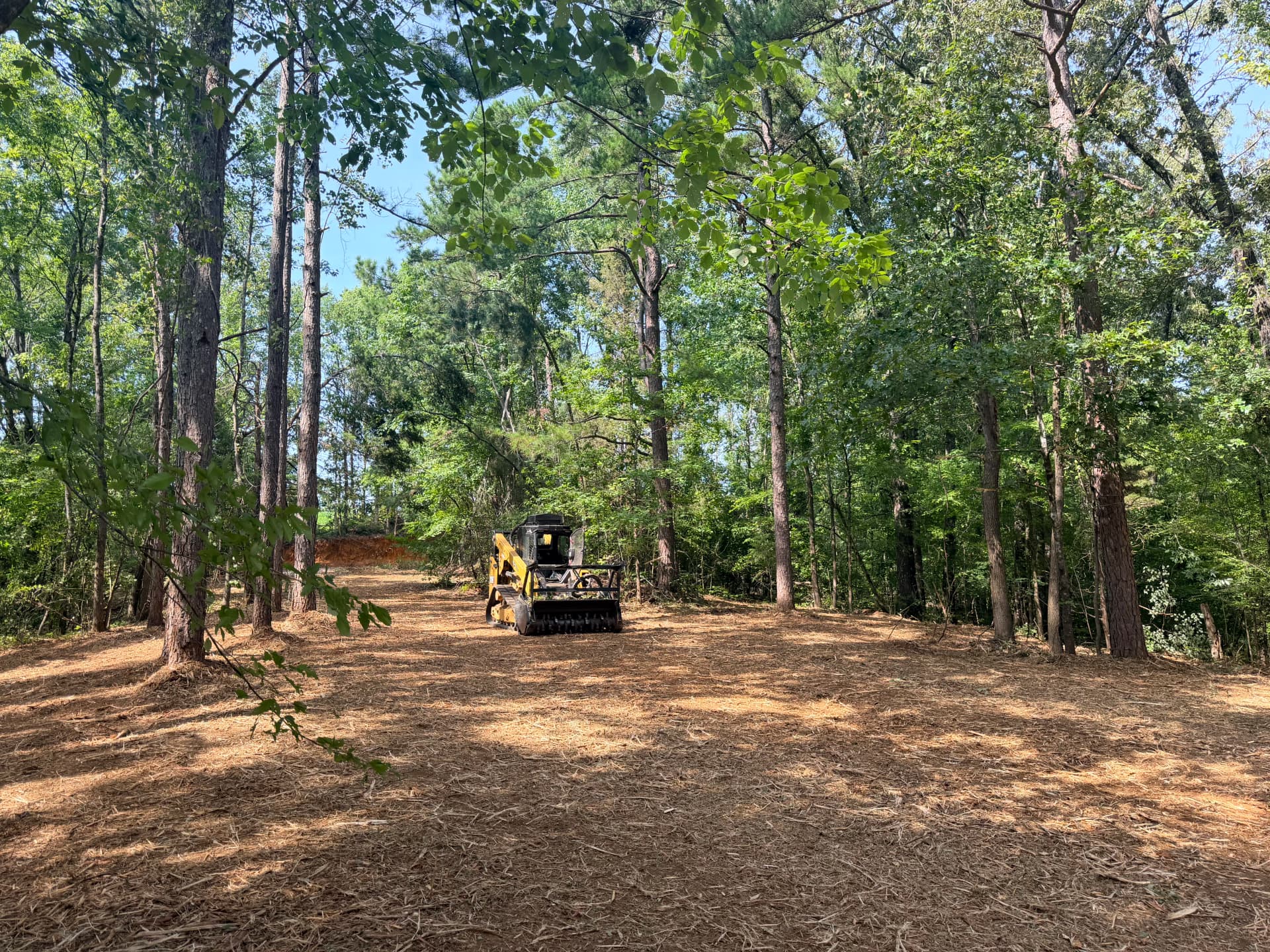 Forestry Mulching That Left This Property Clean and Usable