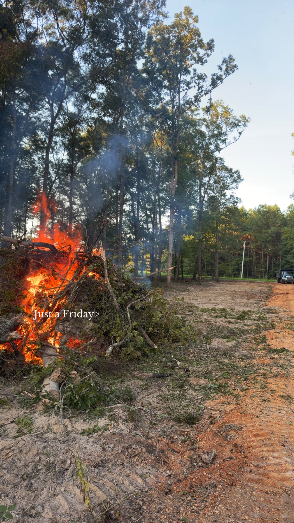 Clearing Ground for Power Line Access the Right Way image