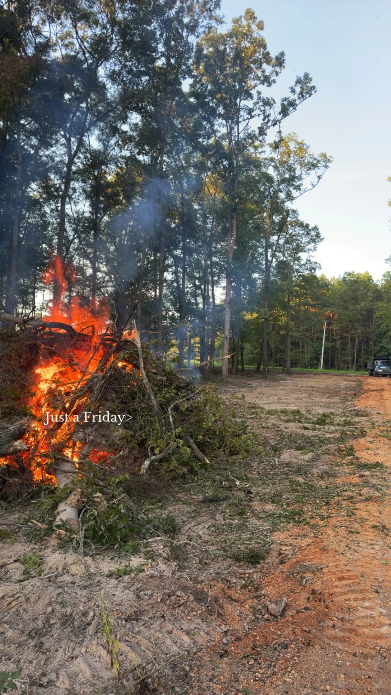 Project Clearing Ground for Power Line Access the Right Way image