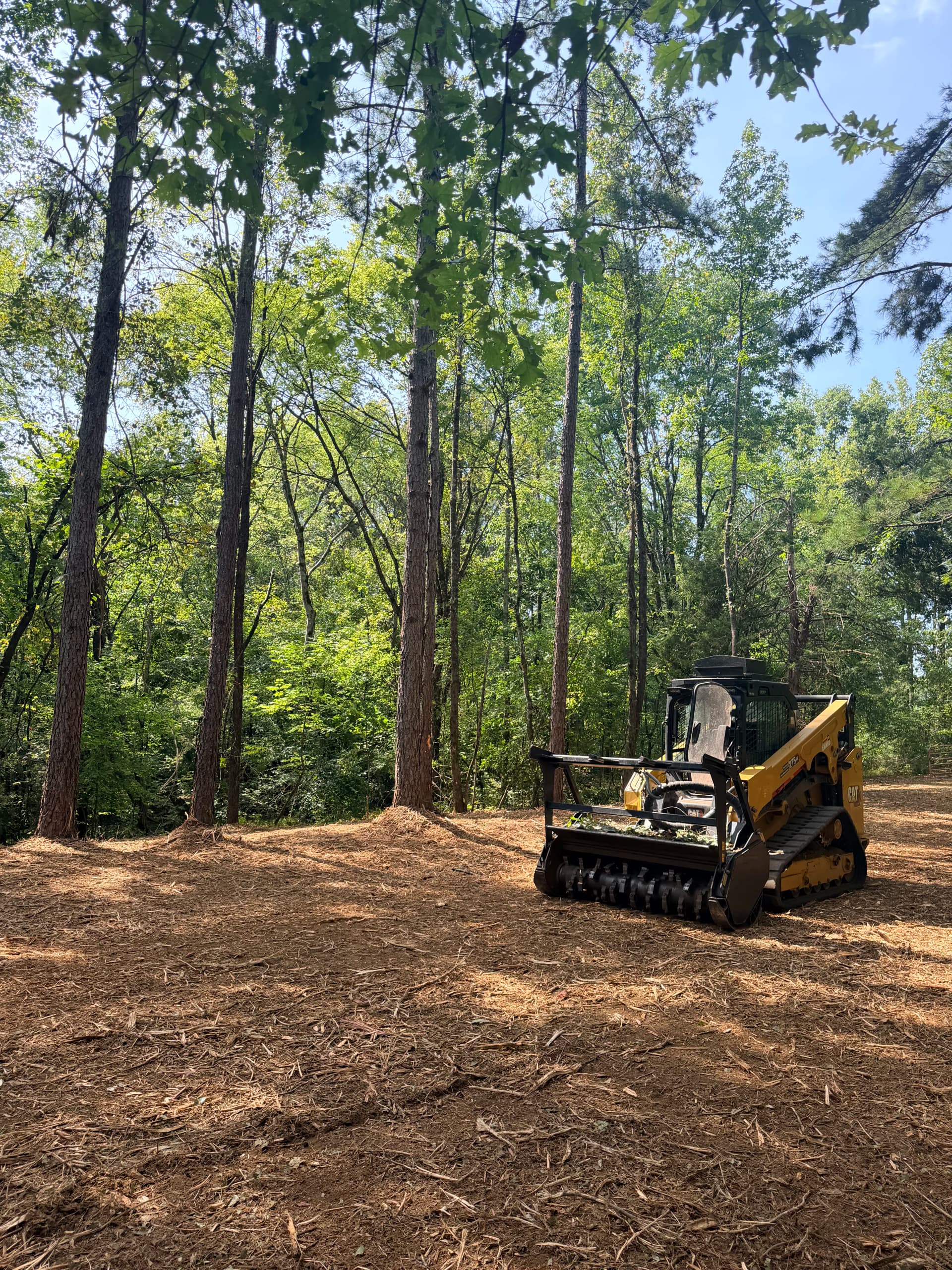 Gallery photos for Forestry Mulching That Left This Property Clean and Usable: Image #1