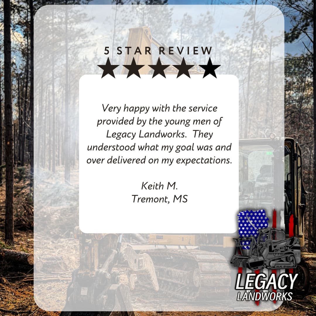 A 5-Star Review From Tremont That Says It All image