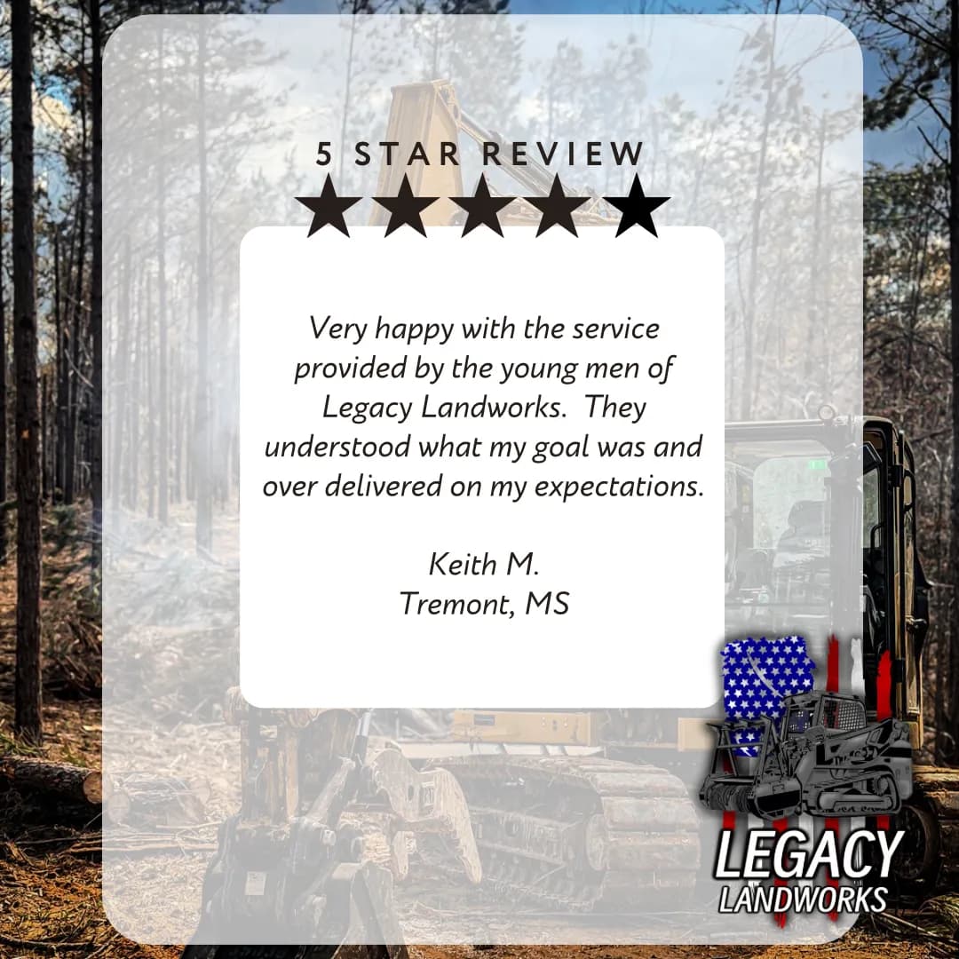 Project A 5-Star Review From Tremont That Says It All image