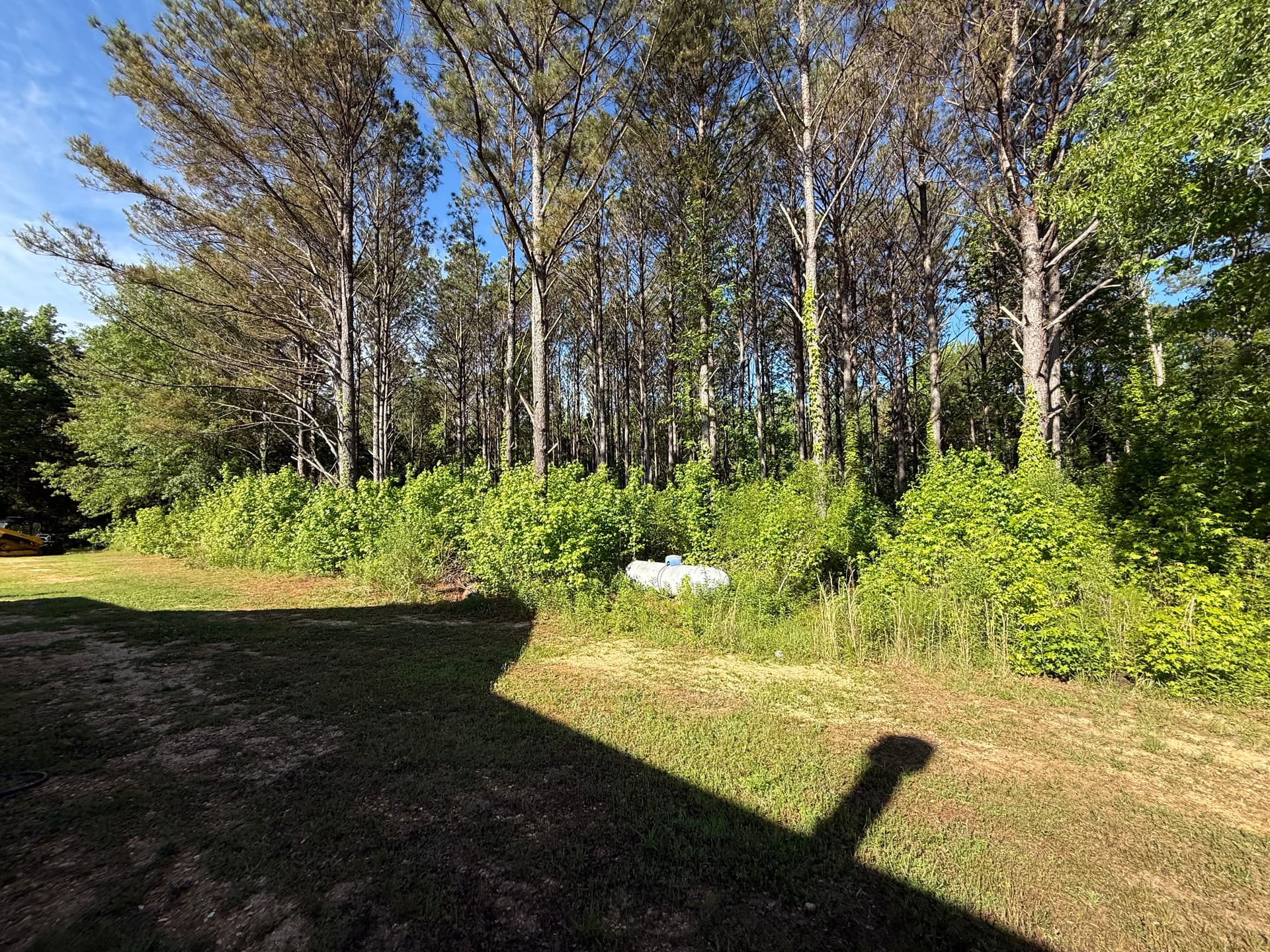 Gallery photos for Forestry Mulching Clears Overgrown Property in Smithville: Image #2