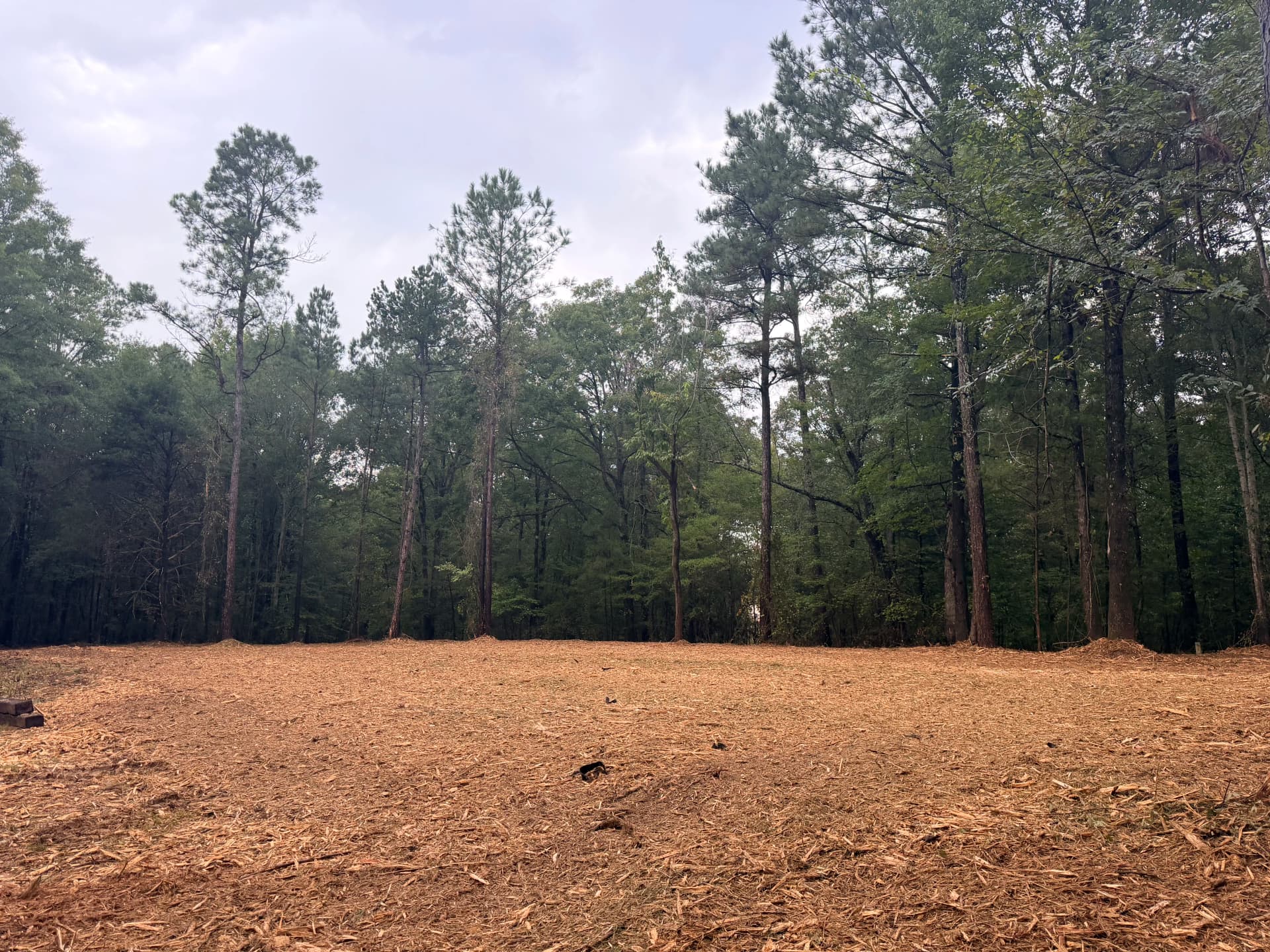 Gallery photos for Overgrown Wooded Lot Cleared and Ready to Use: Image #5