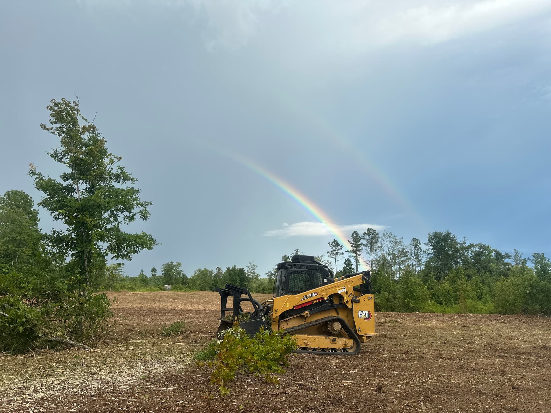 Gallery photos for Forestry Mulching Turns Dense Overgrowth Into Open, Usable Land: Image #1