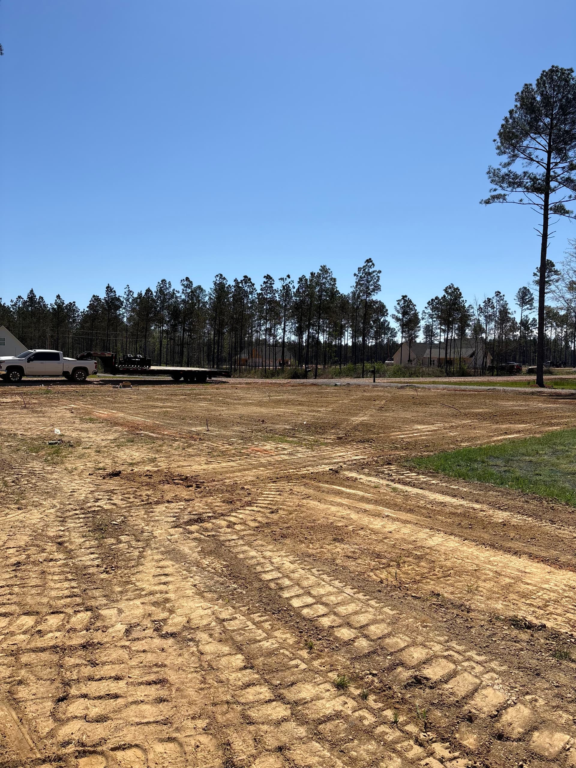 Sod Installation at a Residential Property