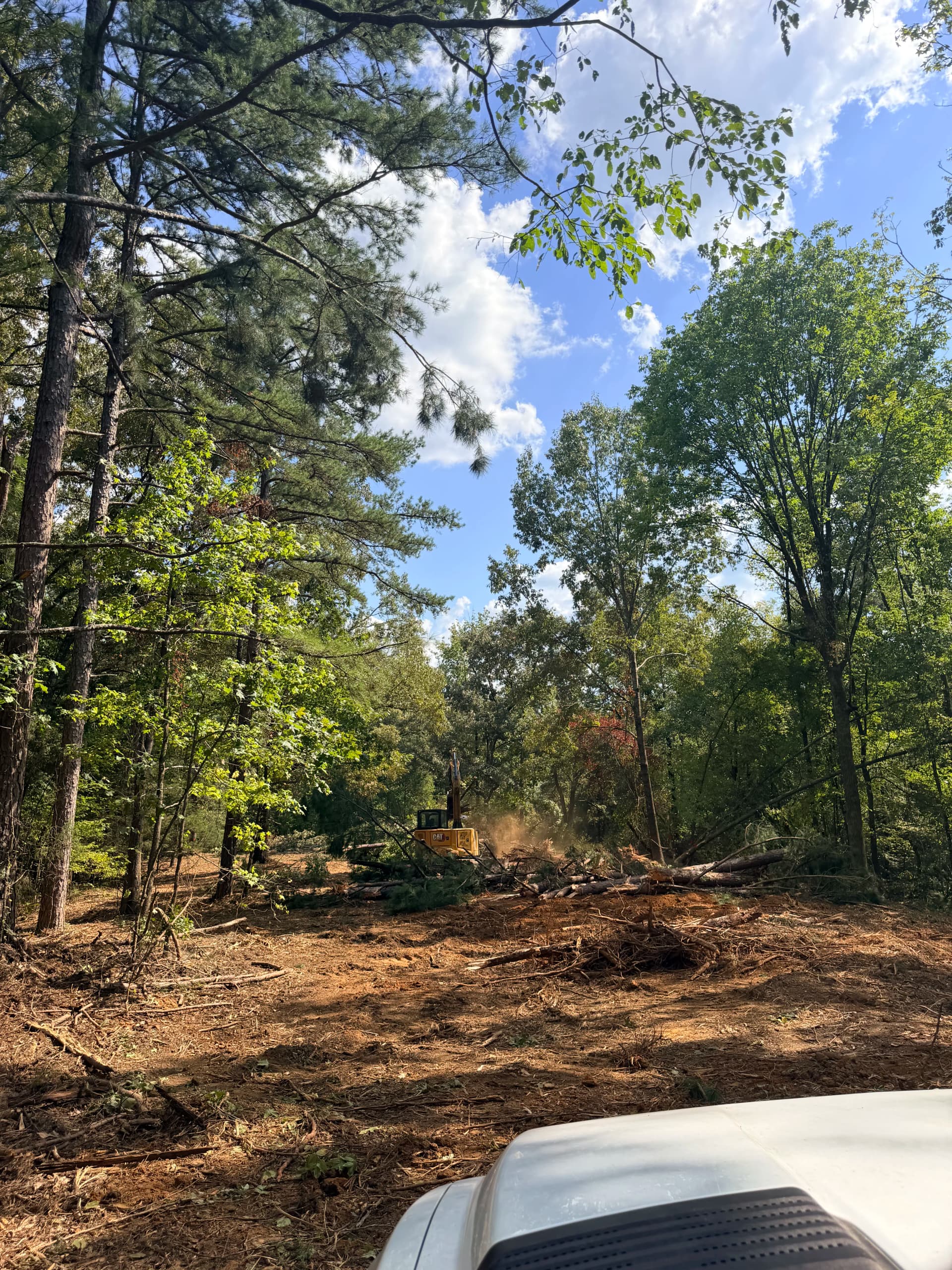 Homesite Land Clearing in Blue Springs Done Right