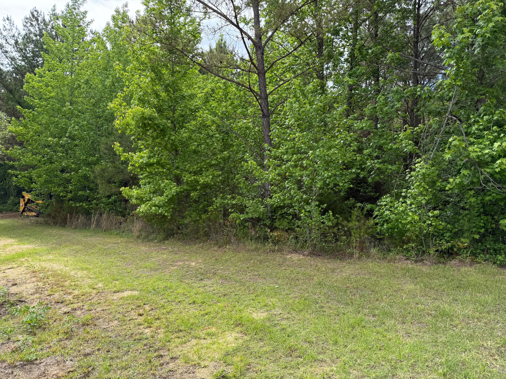 Gallery photos for Forestry Mulching Clears Overgrown Property in Smithville: Image #1