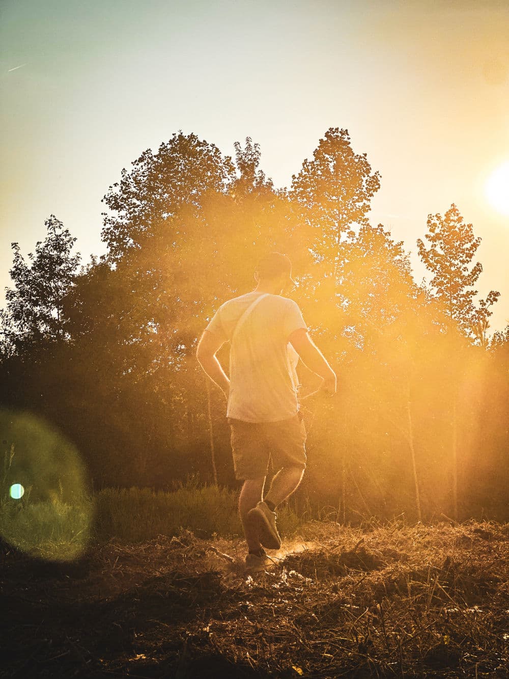 Person walking through a sunlit field with trees at sunset, creating a serene outdoor scene.