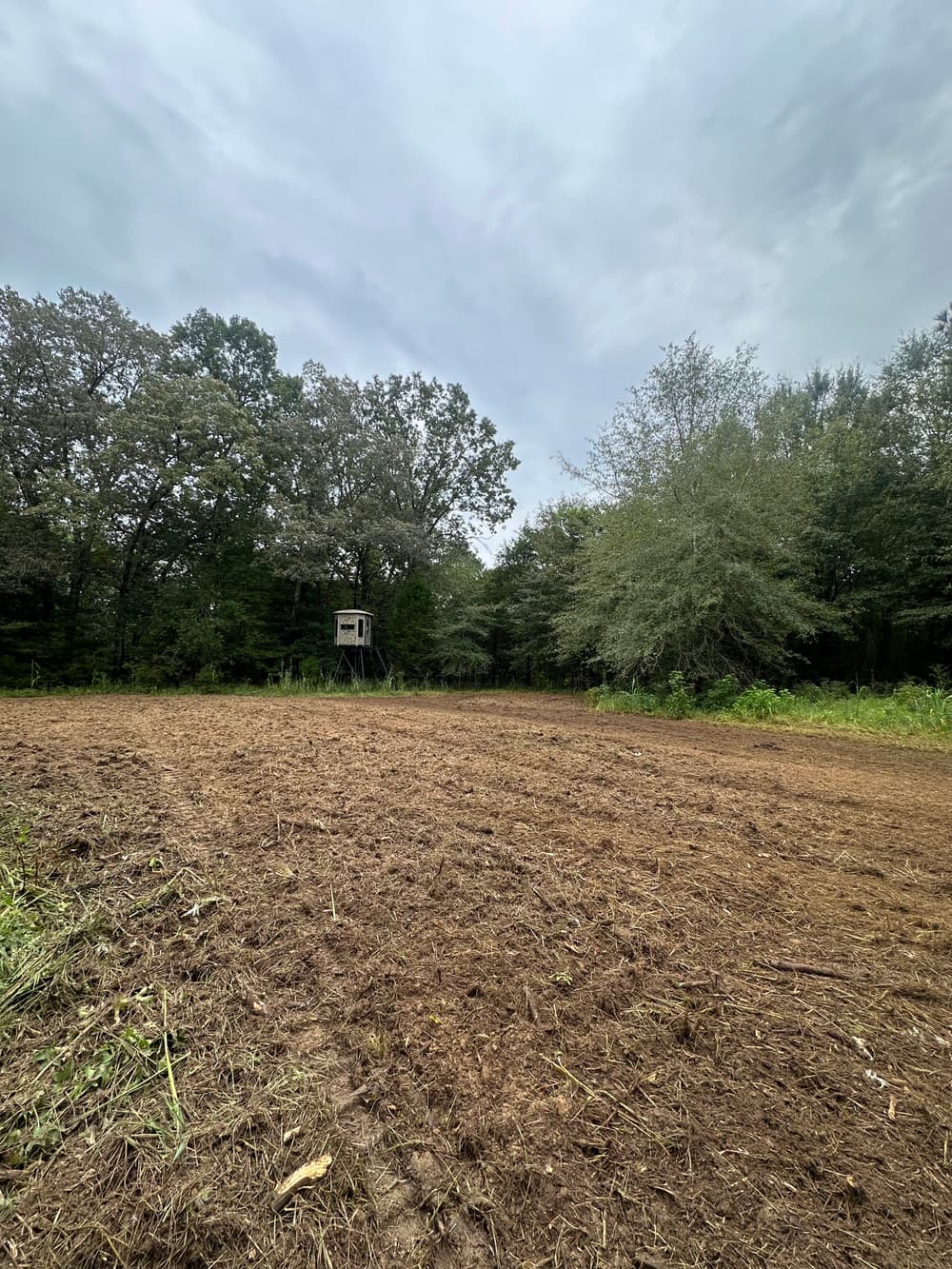 Heavy-duty skid steer loader digging in wooded area with freshly disturbed soil.
