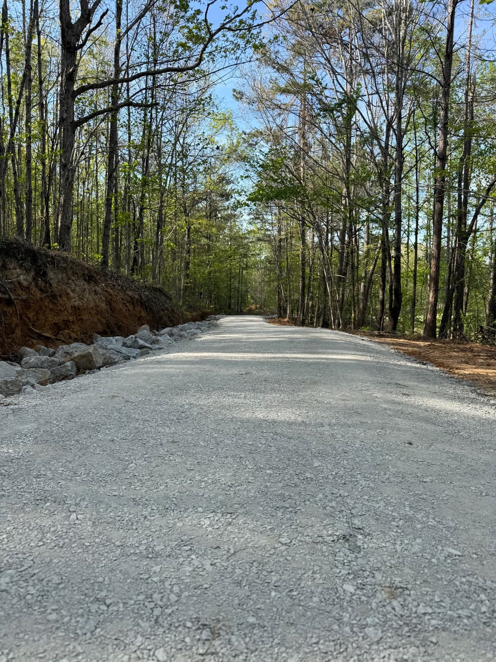 Gravel road surrounded by lush green trees in a serene forest landscape.