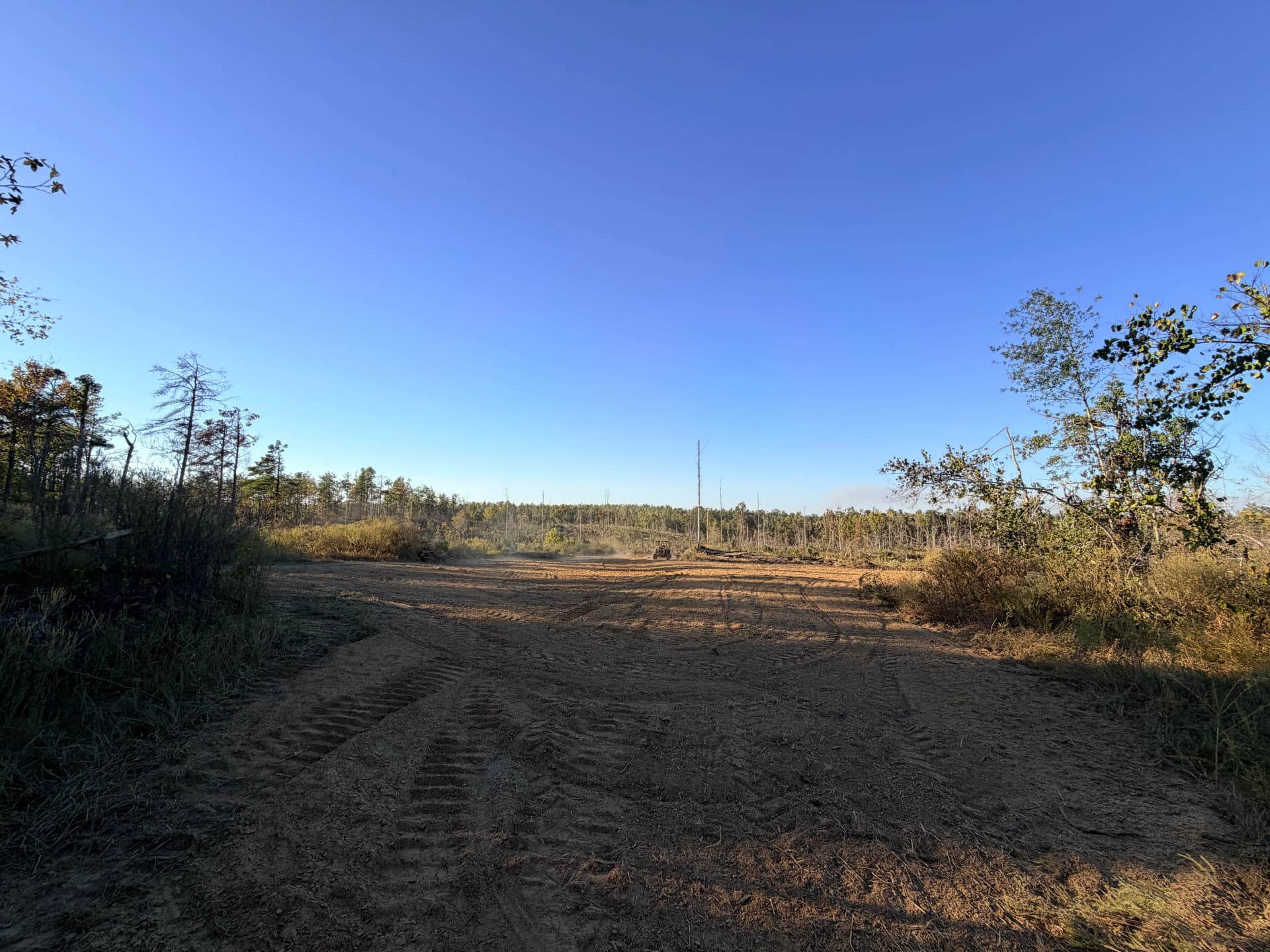 Gallery photos for 4 Food Plots Cleared, Tilled, and Seeded in One Day: Image #6