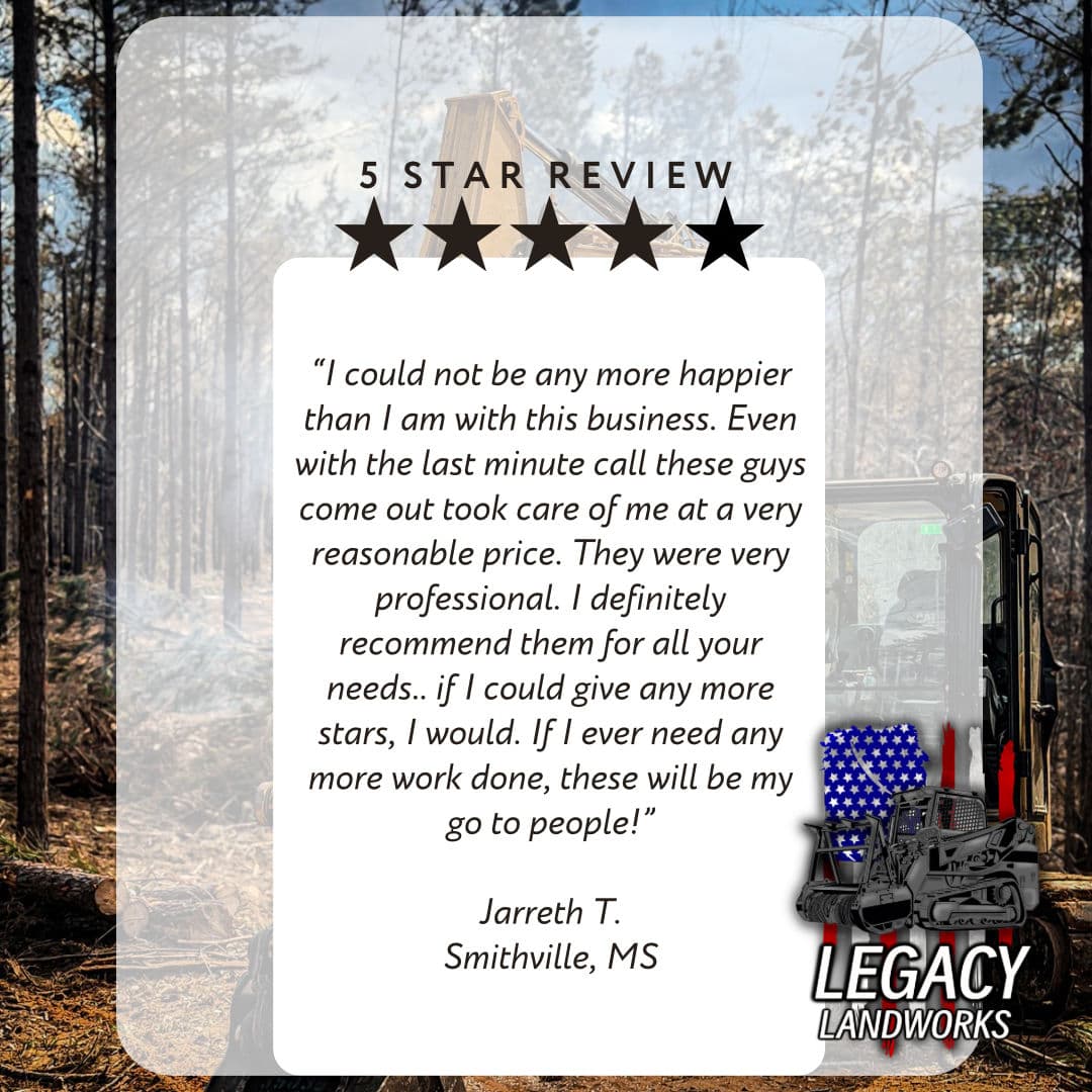 A 5-Star Review That Says It All image