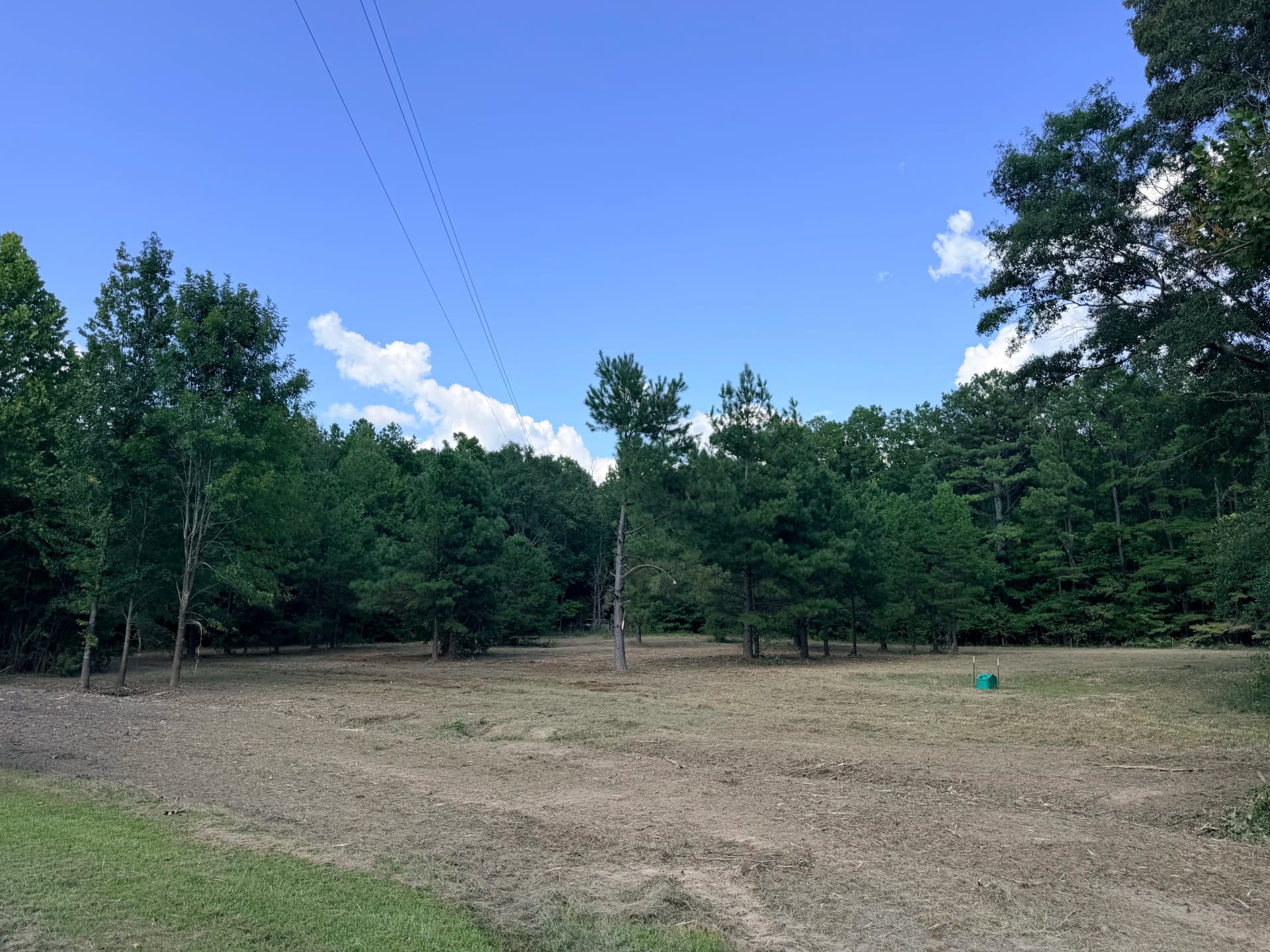 Gallery photos for Overgrown Lot to Open Land with Forestry Mulching: Image #2