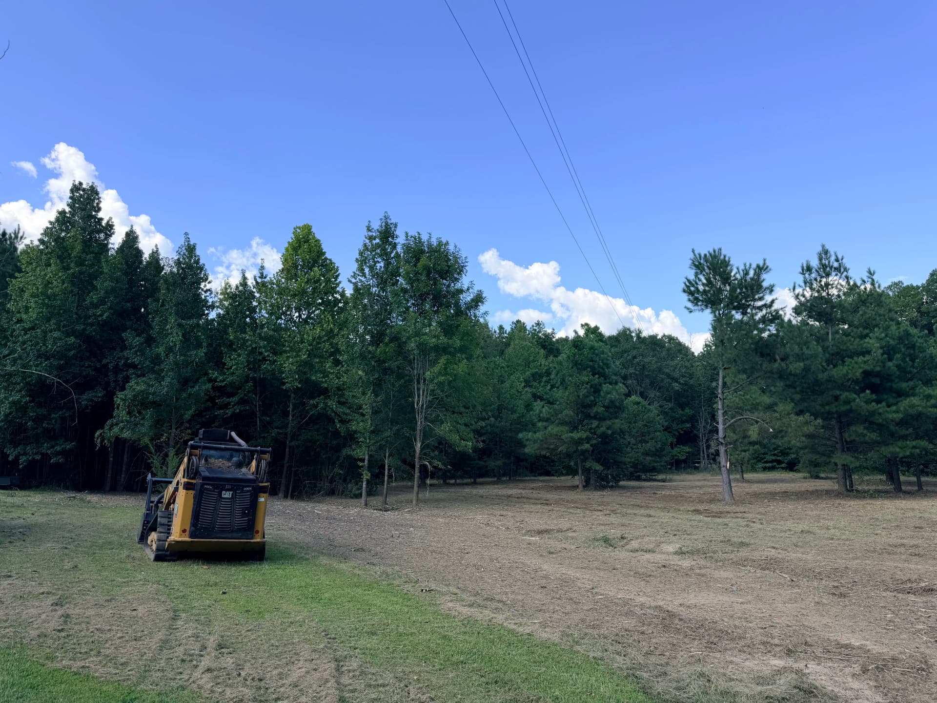 Gallery photos for Overgrown Lot to Open Land with Forestry Mulching: Image #3