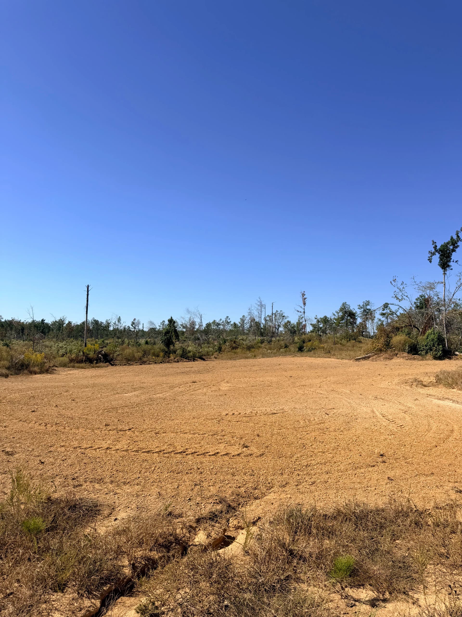 Gallery photos for 4 Food Plots Cleared, Tilled, and Seeded in One Day: Image #5