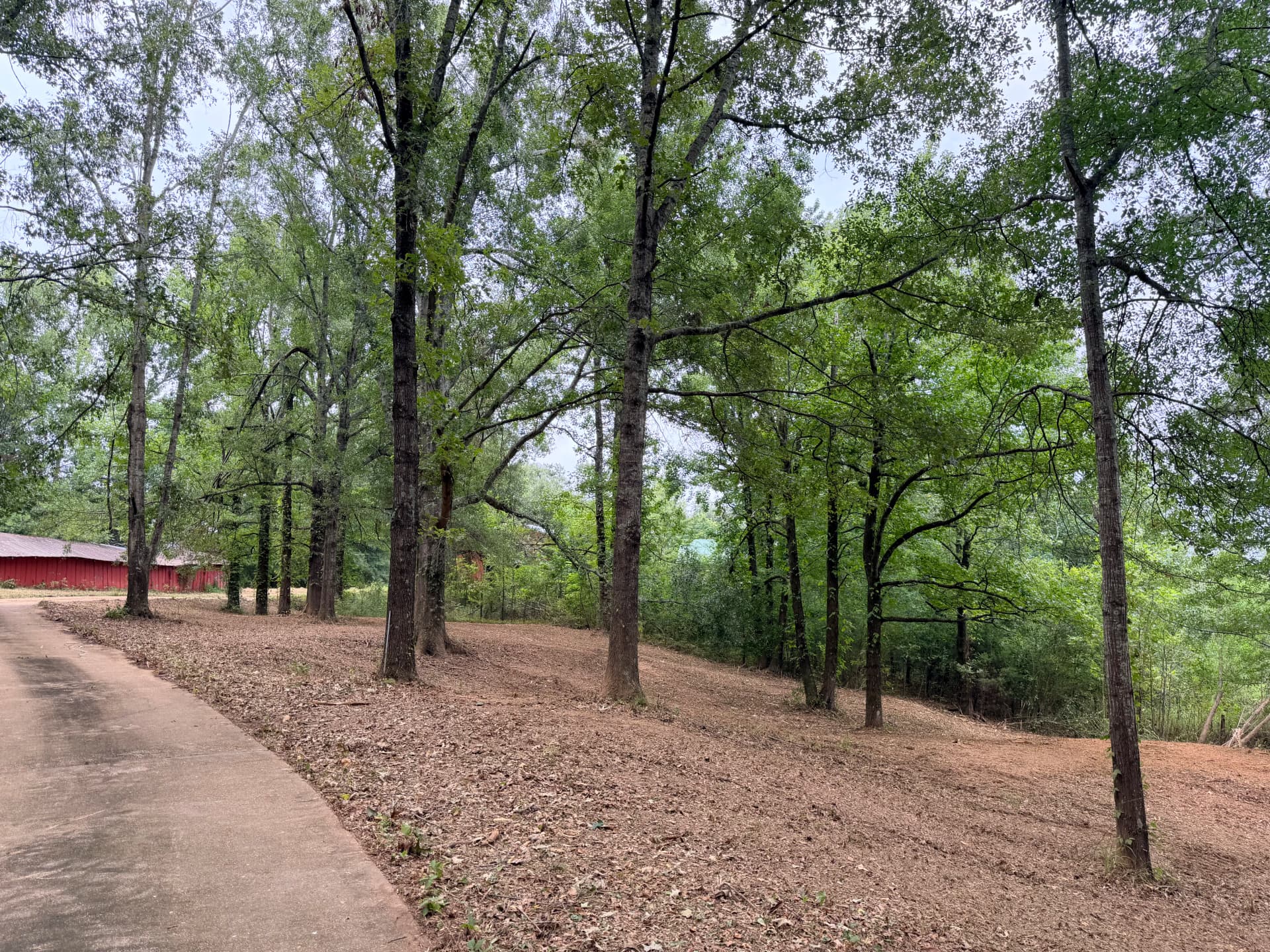 Gallery photos for Fresh Mulch That Makes Your Property Look Like a Park: Image #1
