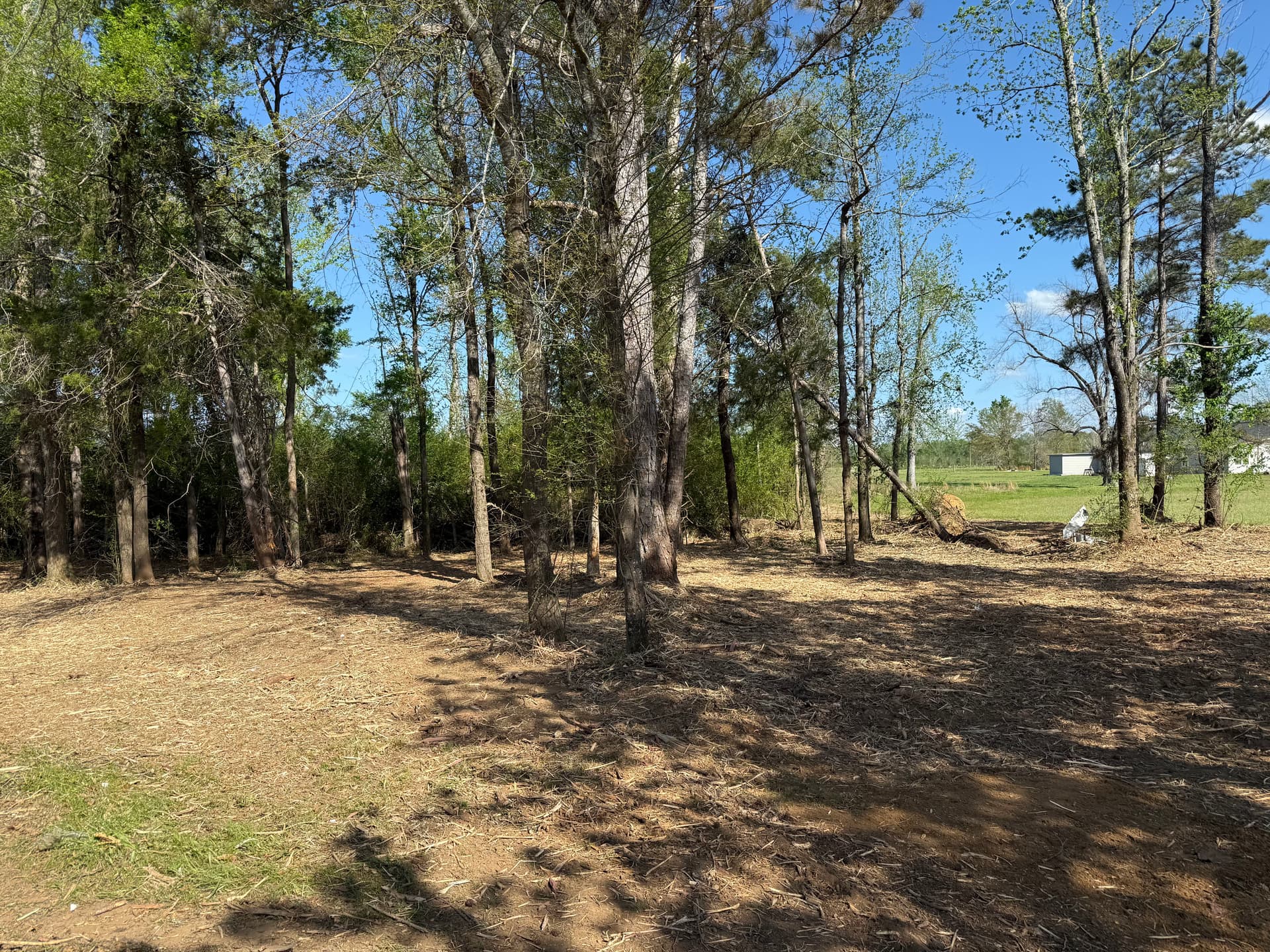 Gallery photos for Dense Overgrowth Cleared Down to Open Ground in Smithville MS: Image #4