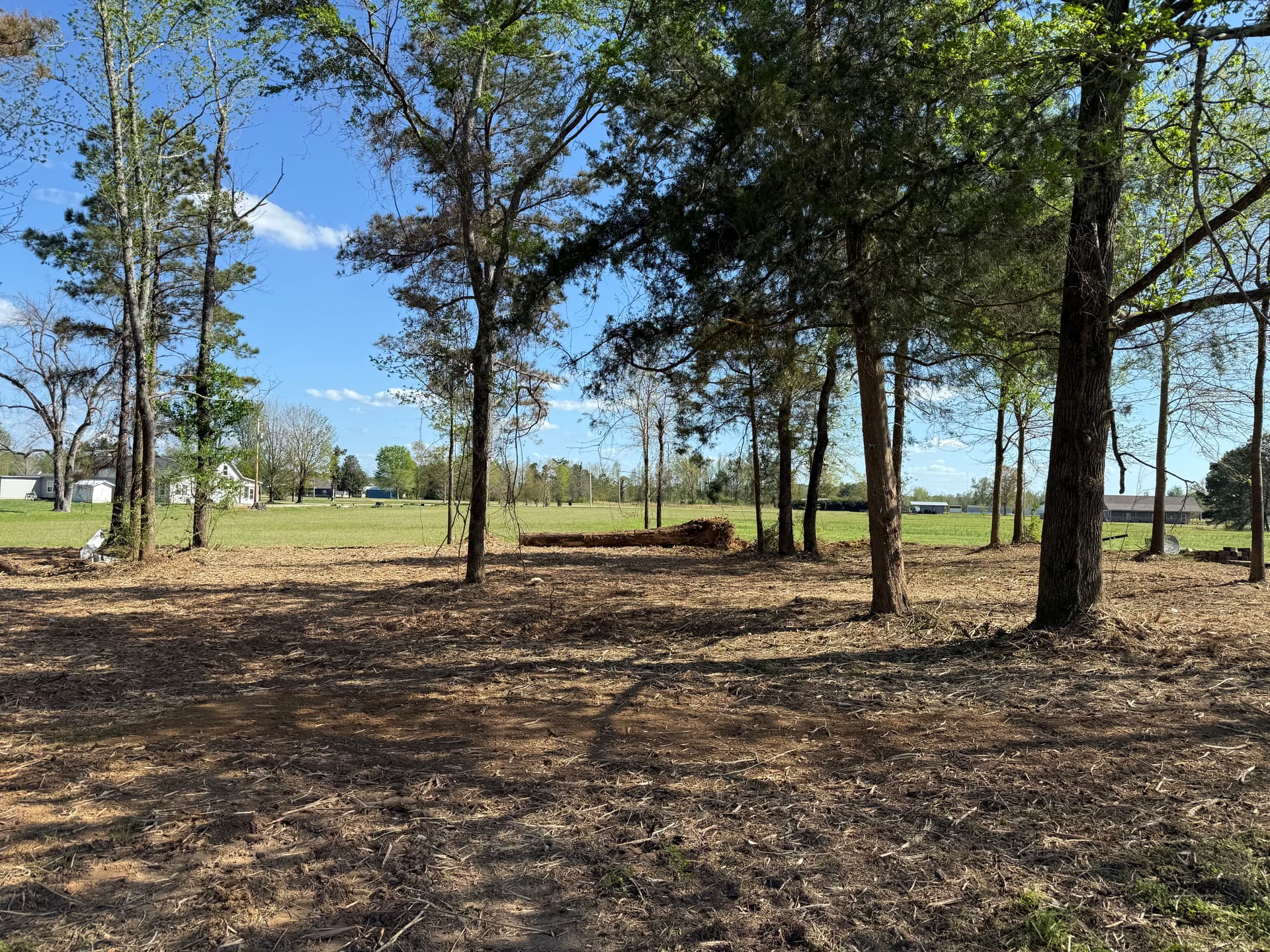 Gallery photos for Dense Overgrowth Cleared Down to Open Ground in Smithville MS: Image #3